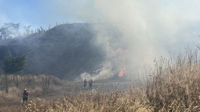 Controlado un incendio de pastos y rastrojos en la Cañada Real
