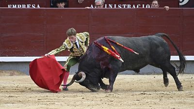 Telemadrid concede sus Premios Taurinos al torero Borja Jiménez y al toro ‘Tejonero’, de la ganadería de Santiago Domecq