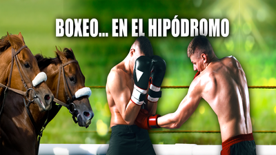 El boxeo vuelve a La Zarzuela con la Copa Hipódromo