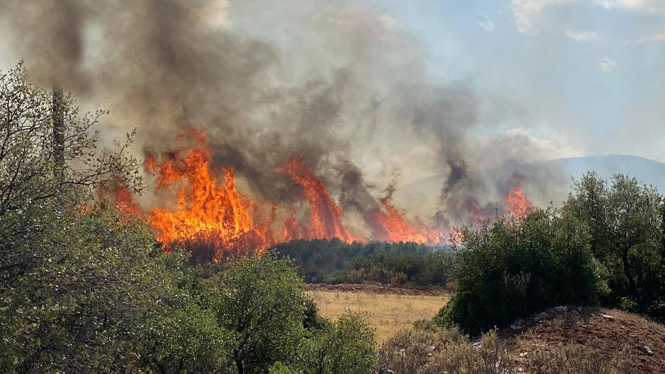 Numerosos incendios asolan Grecia