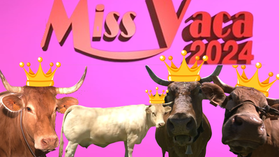Gallarda, Navarra, Cuca y Parrula, cuatro hermosas rubias aspirantes a 'Miss Vaca Galicia' 2024