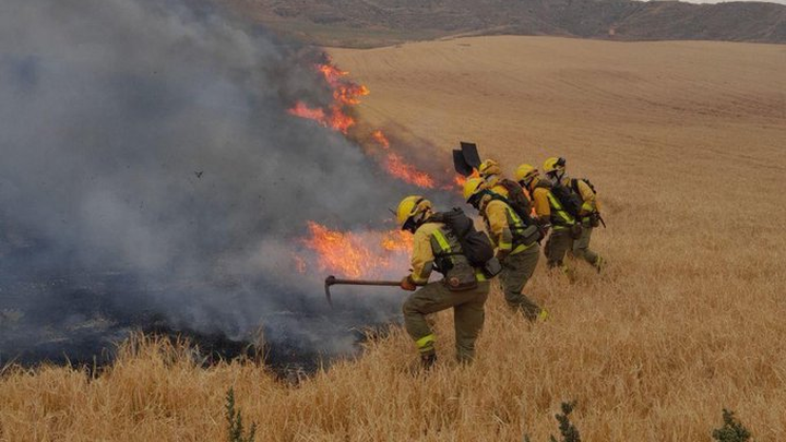 Brigadas forestales en el incendio del Cerro del Viso de Torres de la Alameda