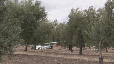Dos muertos tras caer una avioneta sobre un campo de olivos en Córdoba