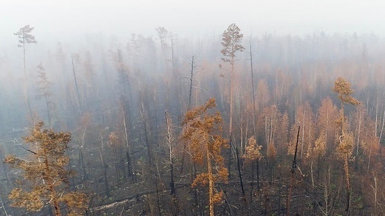 Incendio en Siberia (imagen de archivo)