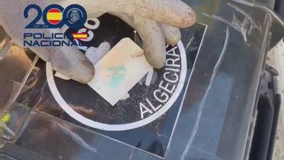 Intervenidos 300 kilos de cocaína en un contenedor de aguacates en Algeciras
