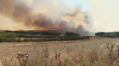 Llegan los primeros incendios del verano: Los de Biota y Mequinenza evolucionan favorablemente