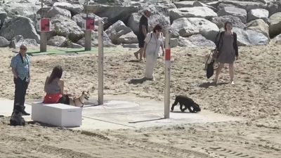 Perros en la playa, toma nota de las localidades españolas que lo permiten
