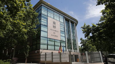 La sede de la Cámara de Cuentas se construirá  en el solar anexo a la Asamblea de Madrid