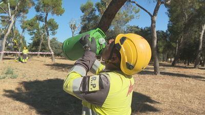 España es el segundo país de la OCDE donde más trabajadores sufren calor