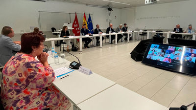 La Comunidad de Madrid reúne al pleno del Consejo Universitario y aprueba su memoria anual