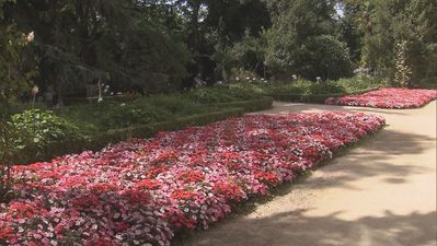 Fondos europeos para seguir rehabilitando los históricos jardines de  Vista Alegre