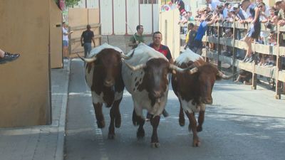 Encierros, Camela y Rafa Sánchez en las fiestas en honor a Santiago Apóstol de Collado Villalba