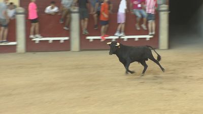 Las fiestas de Leganés recuperan actividades taurinas seis años después