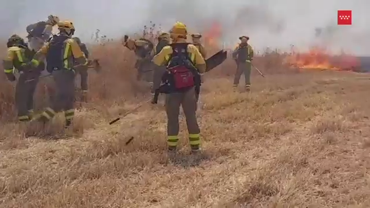 Extinguido un incendio que ha afectado a 13 hectáreas de pasto y matorral en Colmenar de Oreja