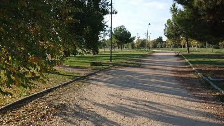 El Ayuntamiento de Getafe plantará 600 árboles y arbustos en el parque de Buenavista
