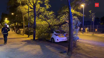 El 112 atiende 323 incidencias relacionadas con el fuerte viento del lunes en Madrid