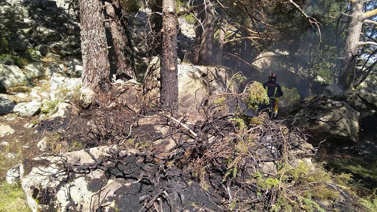 Incendio provocado por un rayo durmiente en un pinar de Rascafría