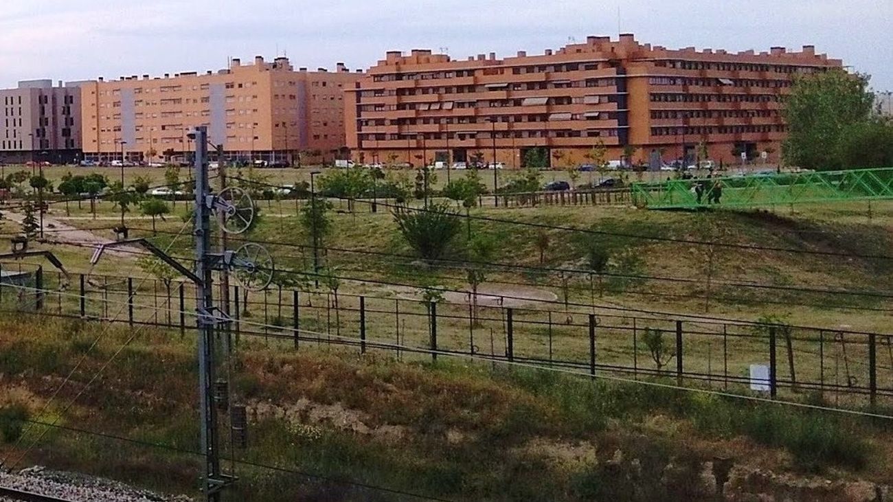 Denuncian la aparición de colonias de garrapatas en el barrio Los Molinos de Getafe