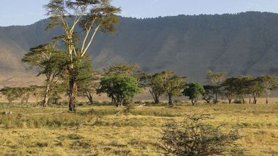 Dos turistas españolas mueren en Tanzania en un accidente de coche cerca del cráter de Ngorongoro