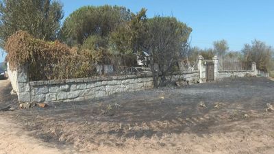 Investigan las causas del incendio forestal  en El Molar: todo apunta a una posible negligencia