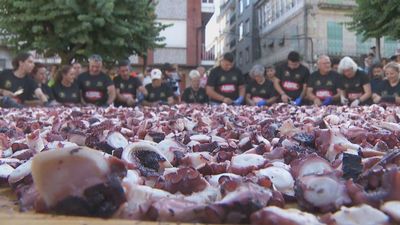 600 kilos de pulpo, 7 de sal,  3 de pimentón y 50 litros de aceite; O Carballiño prepara la tapa de pulpo más grande del mundo