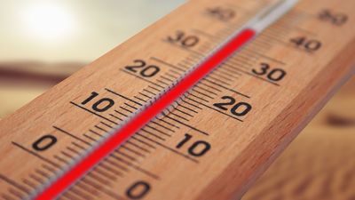 Las consecuencias del calor extremo que afectan más a las mujeres y a los mayores de 65 años