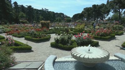 El templo de la rosa en Madrid