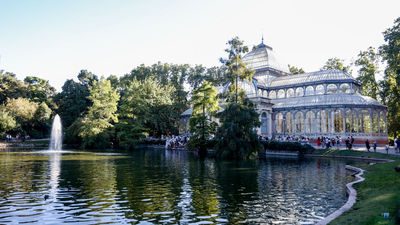 Un paseo bajo la sombra de los 15 Árboles Singulares de Retiro, Recoletos y El Prado