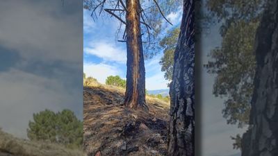 Logran apagar un incendio en Puentes Viejas tras un arduo trabajo para hallar el rayo latente que lo provocó