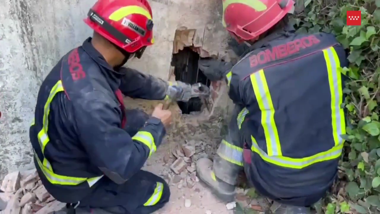 El laborioso rescate de un gato atrapado en Villaviciosa de Odón por los bomberos de Madrid