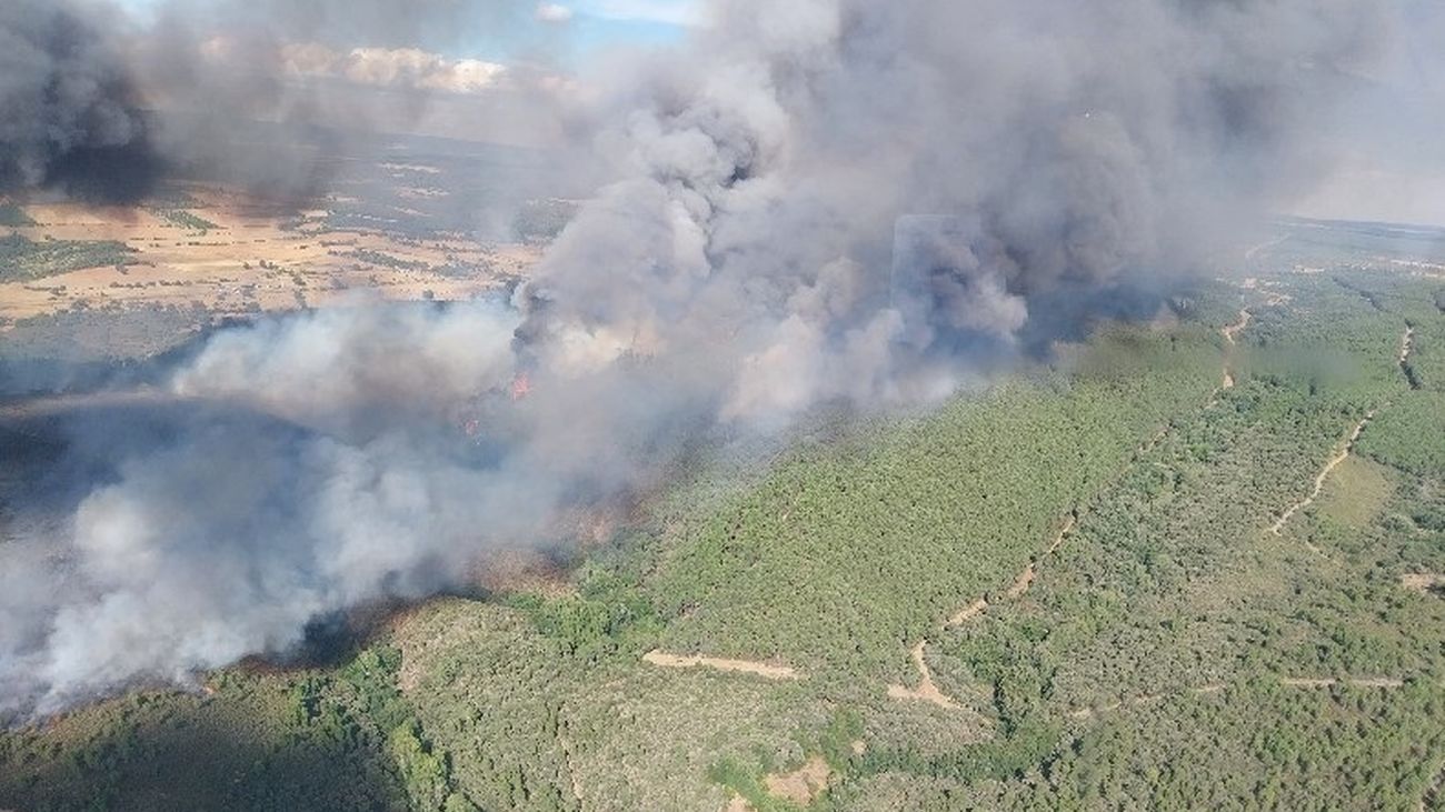 Incendio forestal en Trabazos (Zamora)