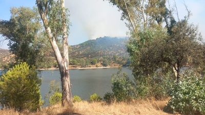 100 efectivos trabajan en la extinción de un incendio forestal en Andújar (Jaén)