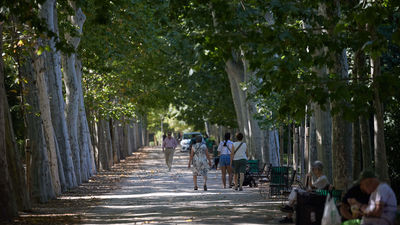 El Retiro y otros ocho grandes parques de Madrid, con zonas restringidas por fuertes vientos