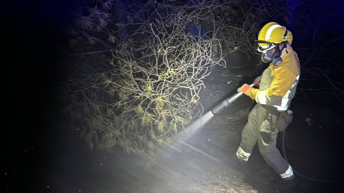 Incendio forestal en Rivas Vaciamadrid