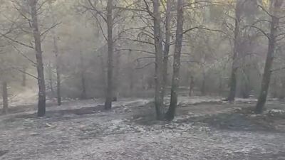 Rivas Vaciamadrid lamenta el incendio que arrasó once hectáreas de bosque: "Impresiona verlo así"