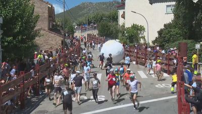 Mataelpino celebra sin incidentes el segundo Boloencierro de sus fiestas