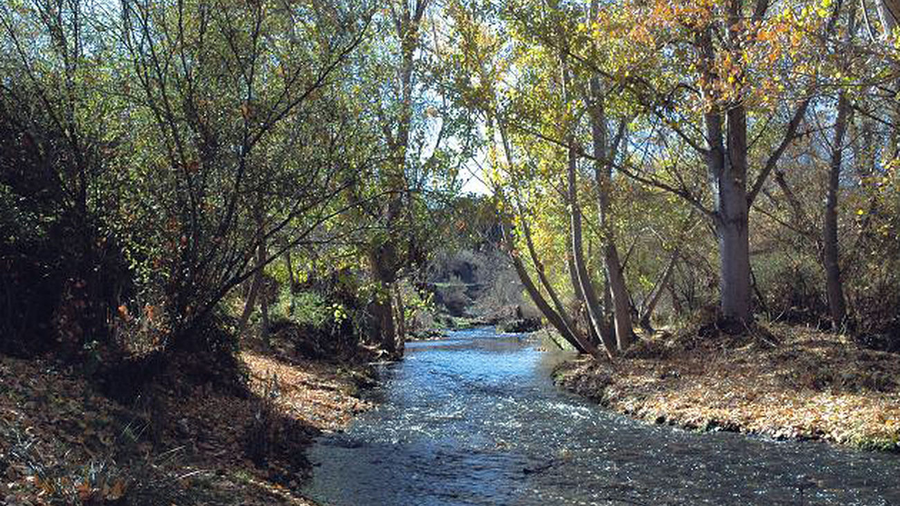 Entorno del río Guadarrama