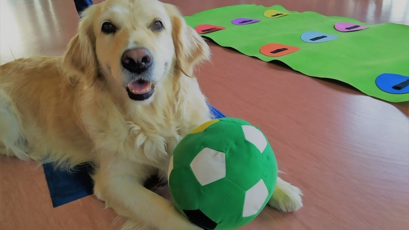 La terapia con perros ayuda a mejorar la autoestima de los pacientes