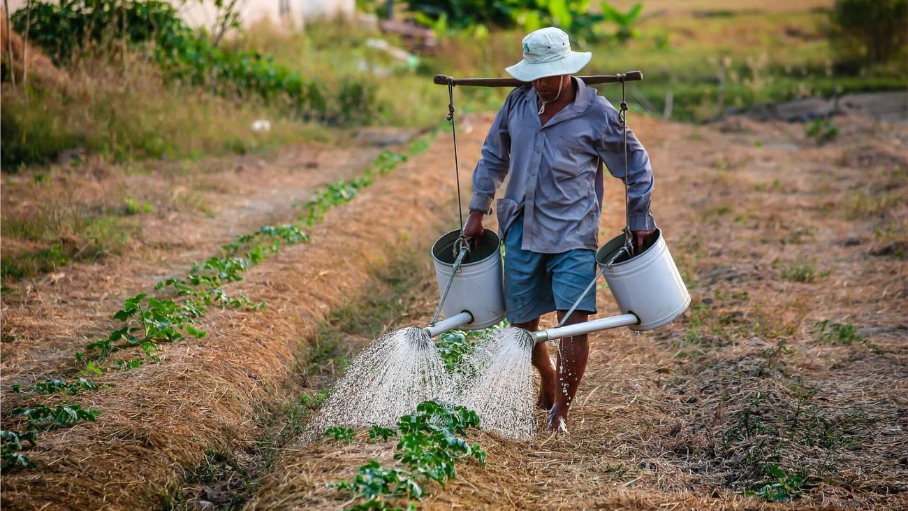 Agricultura y el trabajo de hogar: los sectores más afectados por la pobreza laboral