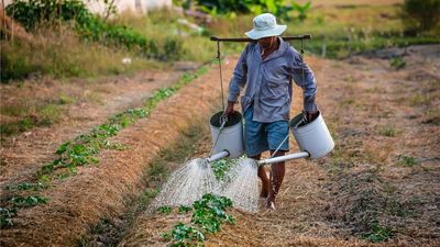 Últimos días para apuntarse en el programa CULTIVA 2024 para formar a jóvenes agricultores