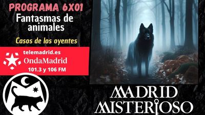 Fantasmas de animales 07.09.2024