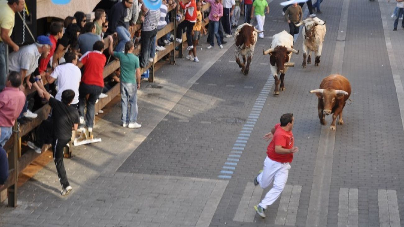 Encierros de Moralzarzal