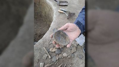 Hallan restos arqueológicos de hace 4.000 años durante las obras de renovación del Castillo de Alameda