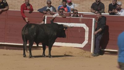 Así se ha vivido el primer día de toros de las fiestas de Móstoles