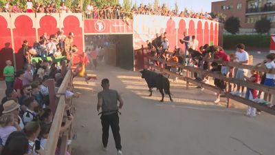 Doble sesión de encierros en las fiestas de Humanes