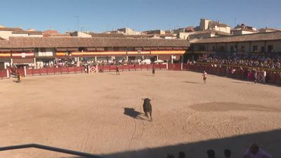 Dos encierros ponen el punto final a las fiestas de Colmenar de Oreja