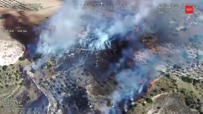 Controlado un incendio forestal en Colmenar de Oreja