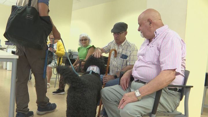 Perros para mitigar la depresión de las personas mayores en Torrejón de Ardoz