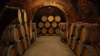 Madrid y sus bodegas visitables, referencia del enoturismo