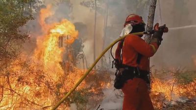 Más de 300 efectivos de la UME luchan en Portugal contra los incendios